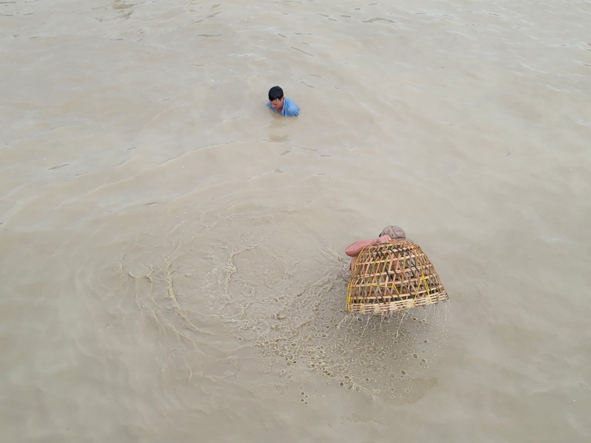 Mực nước sâu khoảng 70 - 80cm rất thuận lợi cho việc nơm cá.