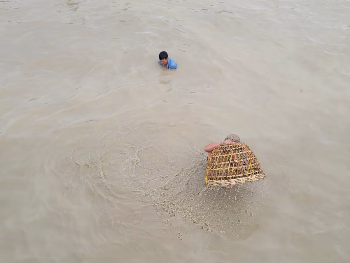 Mực nước sâu khoảng 70 - 80cm rất thuận lợi cho việc nơm cá.