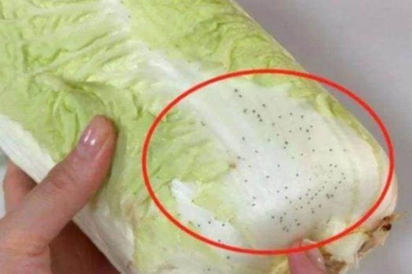 Chuyên gia chia sẻ cách chọn rau ngon không hóa chất Chuyen gia chia se cach chon rau ngon khong hoa chat