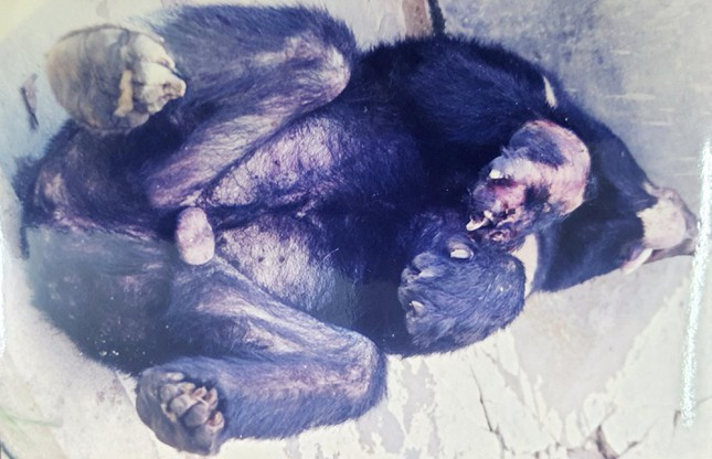 Hinh anh hiem giai cuu 