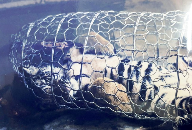 Hinh anh hiem giai cuu 