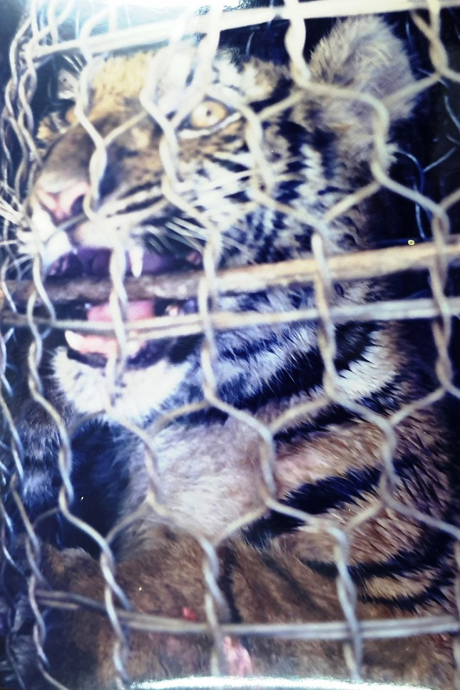 Hinh anh hiem giai cuu 