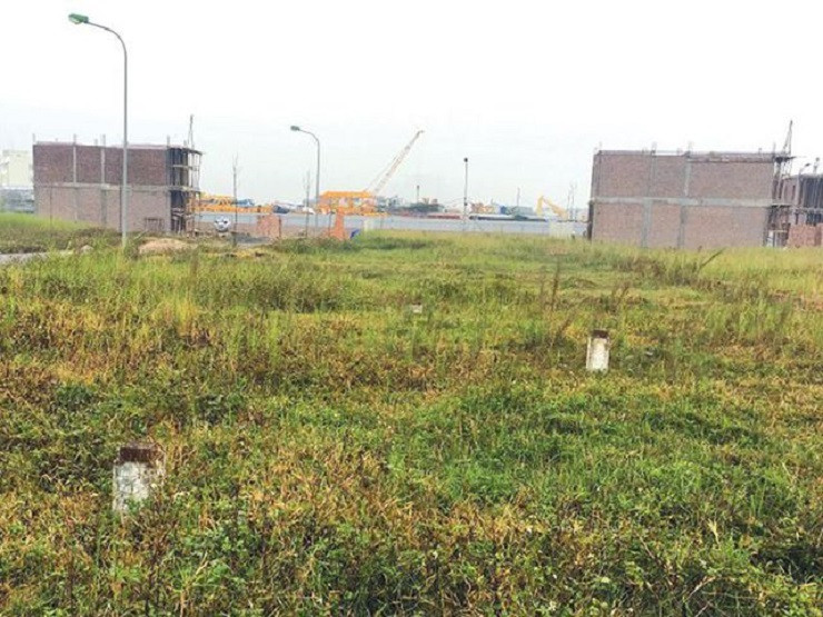 Với một tỷ đồng tiết kiệm, sau tết tôi có nên đầu tư đất nền? ảnh 1