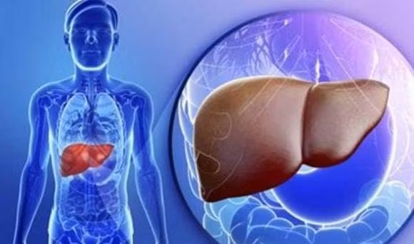 Co benh ung thu trong co the, co the thuong co nam dau hieu