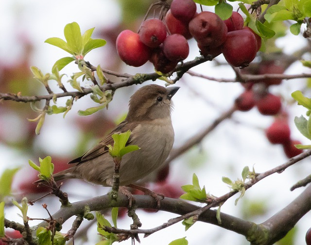 Sinh vao 6 ngay Am lich nay giau co ban be, sung tuc tien bac, tran day niem vui-Hinh-3