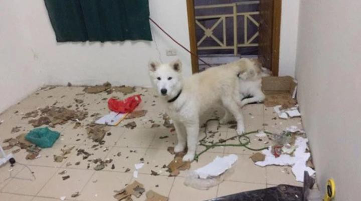 Tro lai phong tro sau Tet, sinh vien 