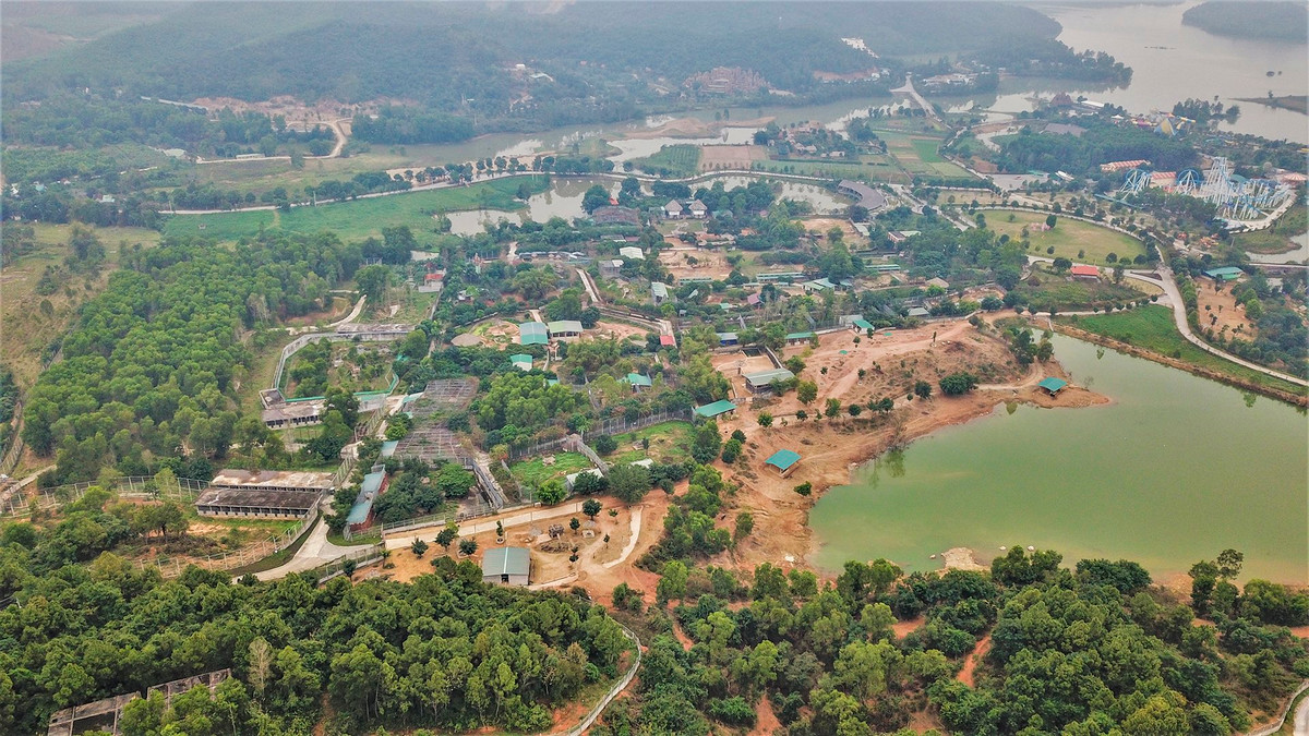 Anh Hồ Đăng Long, Trưởng bộ phận Quản lý Khu sinh thái Diễn Lâm, nói rằng đơn vị hiện nuôi gần 100 loài động vật các loại với hơn 2.000 cá thể. Trong đó, có gần 40 cá thể hổ sinh sản.