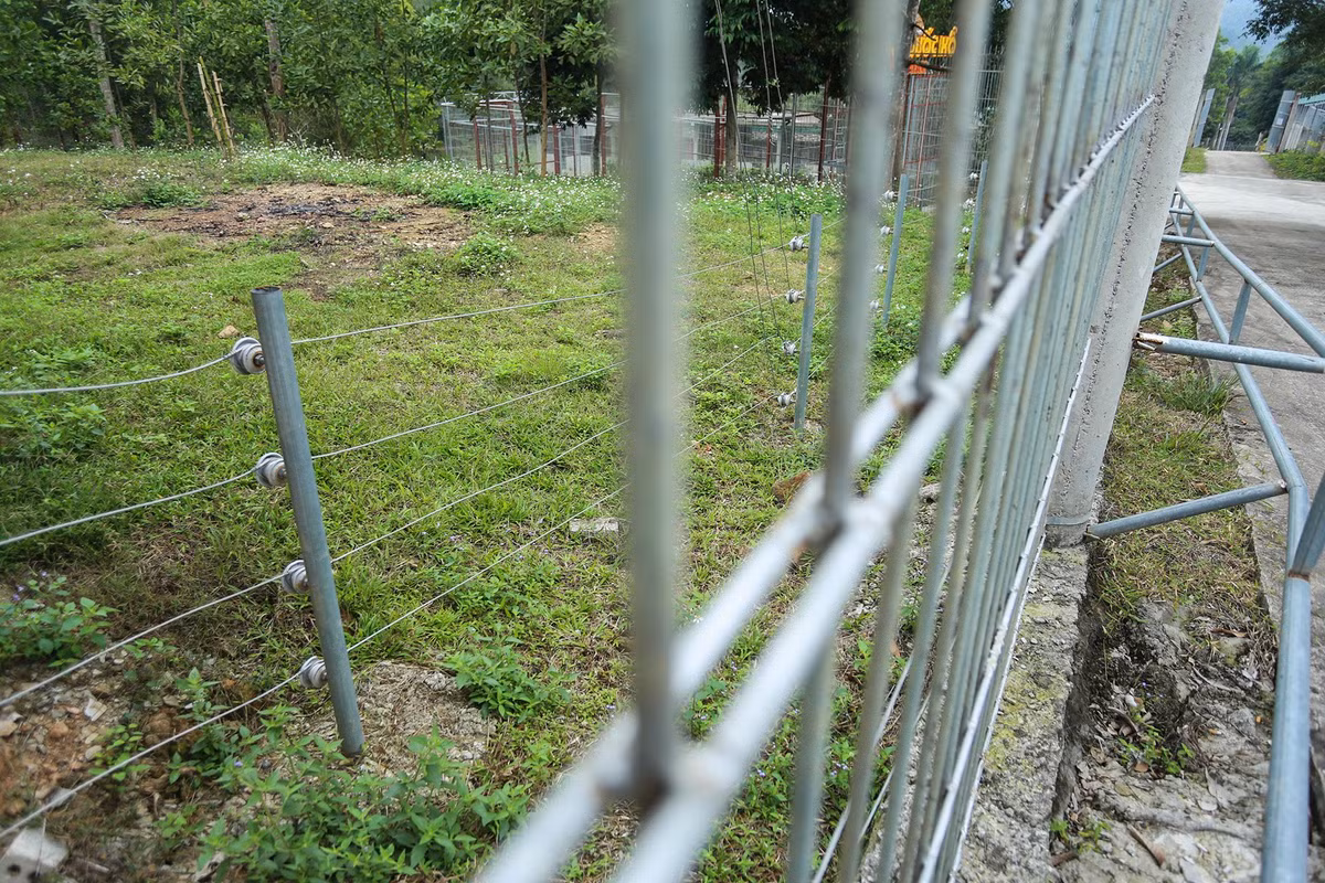 Để đảm bảo an toàn cho nhân viên chăm sóc, du khách và hạn chế đàn hổ leo trèo qua các tường rào thép, đơn vị quản lý lắp hệ thống xung điện.