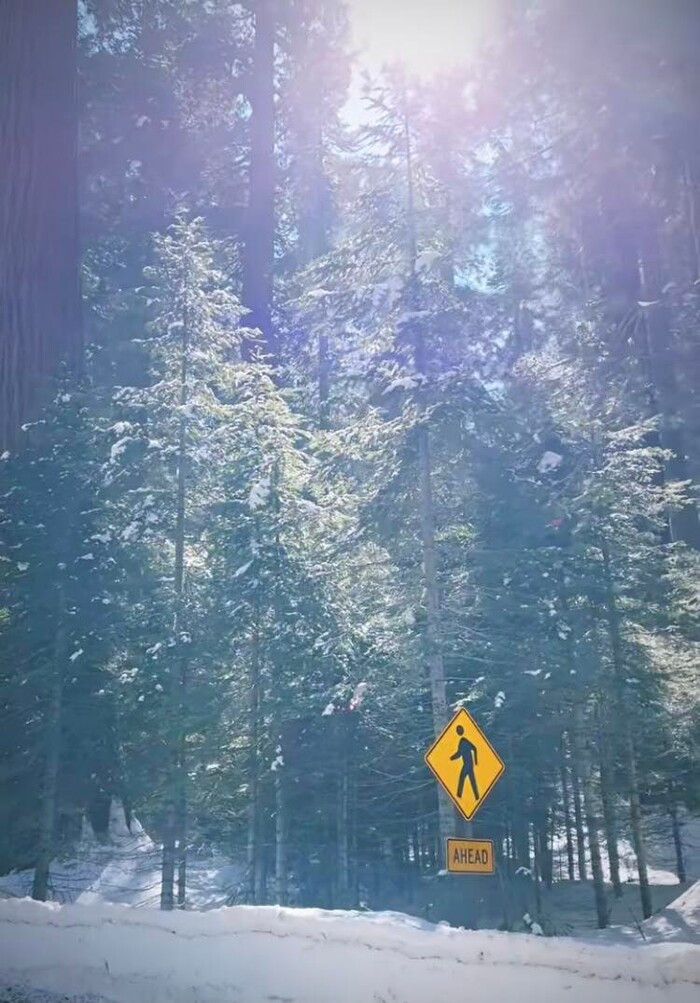 Sau tuyên bố tạm rời xa showbiz, Minh Tú liên tục chia sẻ khoảnh khắc cực "chill" - Hình 2 Sau tuyen bo tam roi xa showbiz, Minh Tu lien tuc chia se khoanh khac cuc