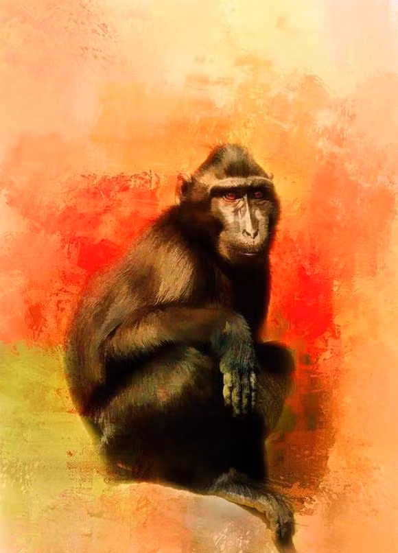 Thang 2 am lich: 3 con giap duoc Than Tai nang do, Quy Nhan phu tro-Hinh-3