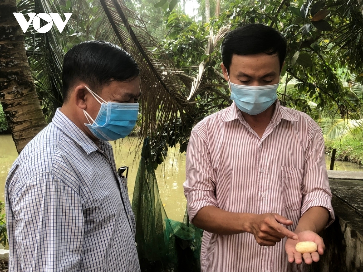 “Nam cop” ve tham mo hinh nuoi ran ho-Hinh-2