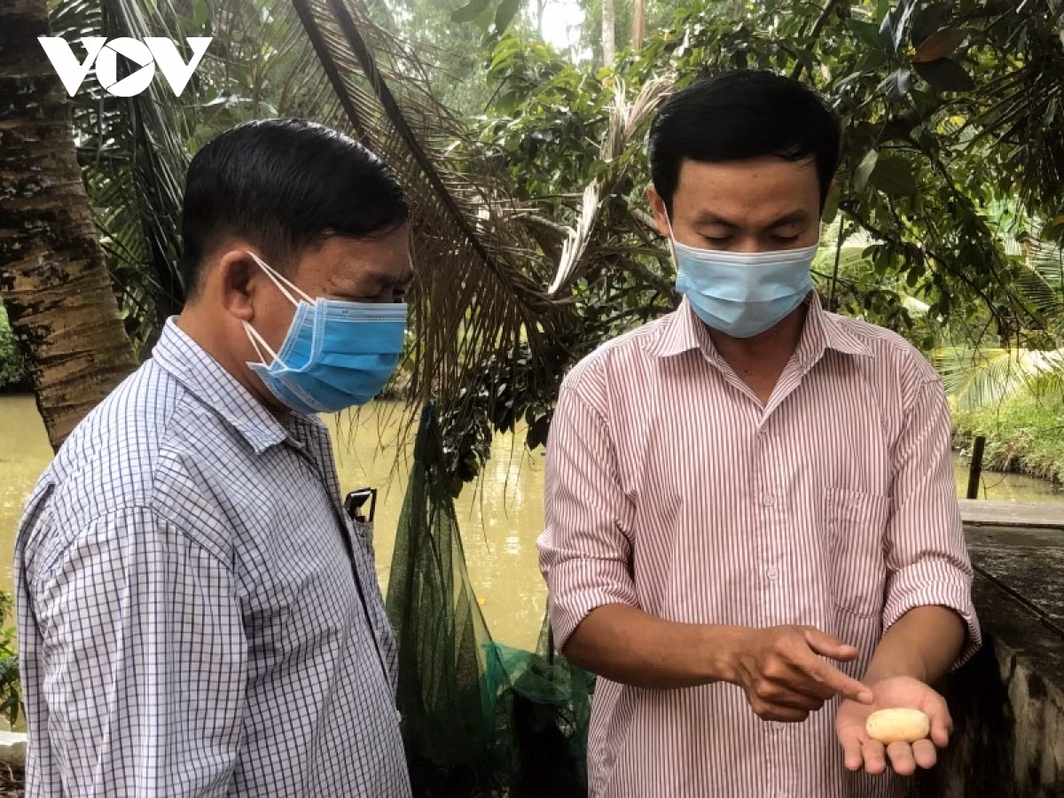 “Nam cop” ve tham mo hinh nuoi ran ho-Hinh-2