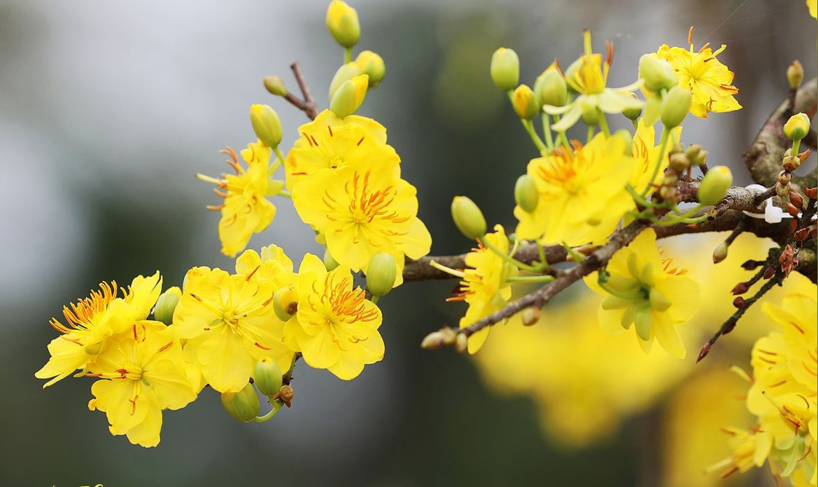 3 con giap duoc Than Tai ban phuc, tien tai bung no