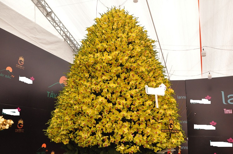 Theo tìm hiểu, chậu lan này có tên là Phú Quý, được 10 người thợ hoàn thiện trong 2 ngày 2 đêm, ghép bởi 3.686 cành lan của nghệ nhân Dũng Yên Bái. Toàn bộ lan sử dụng để ghép đều được trồng ở Đà Lạt.