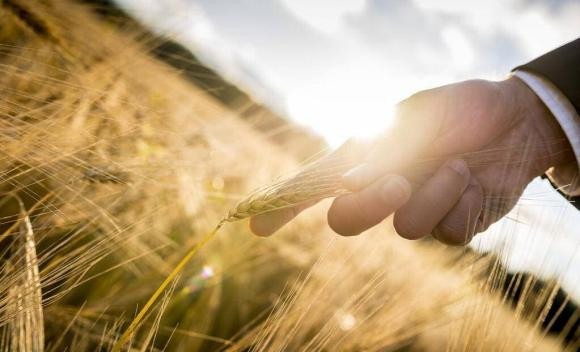 “Tuoi tu tuan, im lang la vang”, ba dieu nhat dinh phai nhan nhin-Hinh-3