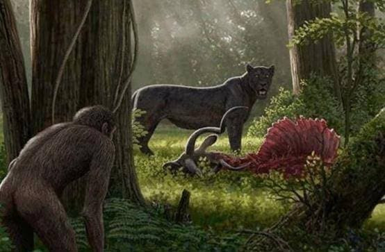 Ngoai con nguoi, dong vat nao ve co ban khong co ke thu tu nhien?-Hinh-8