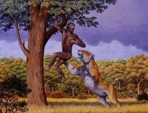 Ngoai con nguoi, dong vat nao ve co ban khong co ke thu tu nhien?-Hinh-9