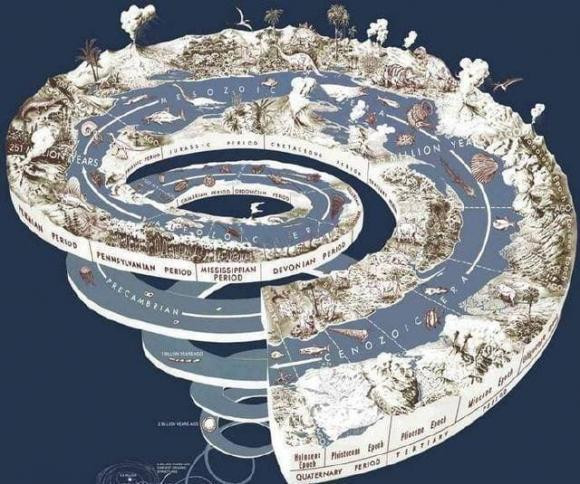 Ngoai con nguoi, dong vat nao ve co ban khong co ke thu tu nhien?