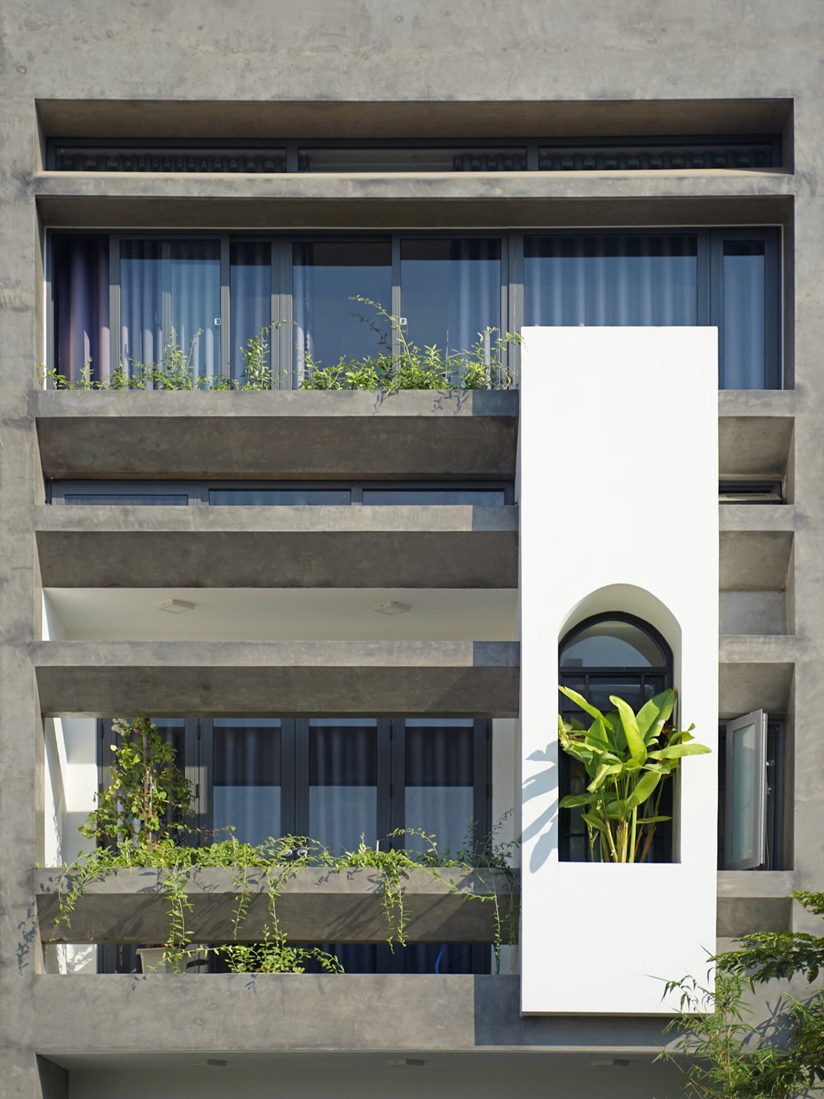 Để giải quyết vấn đề chắn nắng mà vẫn giữ được tầm nhìn thoáng và đảm bảo được thông gió, phần mặt tiền được thiết kế thêm những bồn cây nằm ngang, trồng vào đấy những cây bụi và cây lá rủ. Ngoài tác dụng làm đẹp cho mặt tiền thì những bồn cây này còn đóng vai trò chắn nắng gắt chiếu vào buổi chiều và chống nóng cho không gian bên trong nhà. Trong ảnh là nhà khi mới trồng cây, theo thời gian, hệ cây xanh sẽ phát triển um tùm, tạo thành lớp "rèm" cản nắng hiệu quả.