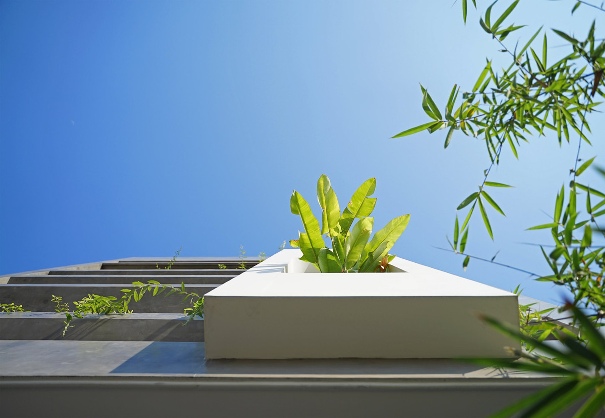 Cây xanh giúp tạo điểm nhấn cho công trình và khoảng thông tầng giữa nhà, tạo nên cảm giác thư thái, yên bình.