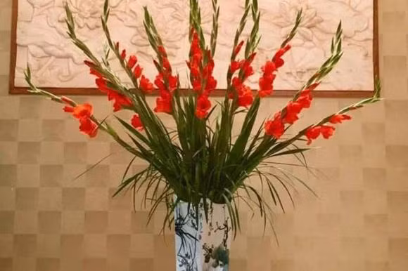 Nhung loai hoa nen dat tren ban tho mang den tai loc-Hinh-7