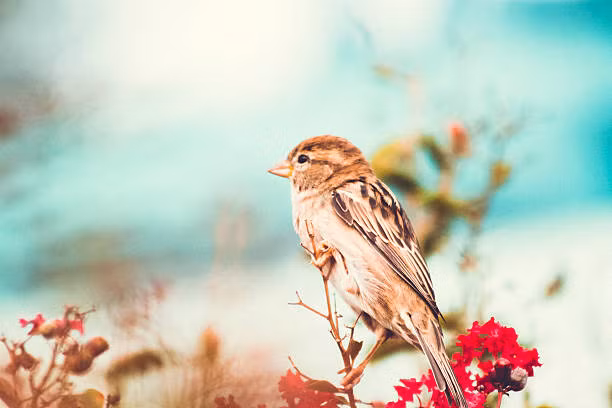 Tet nam nay khong phai lo tien bac, 4 con giap thu nhap cao