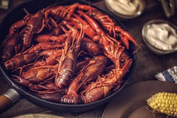 4 thuc pham bi cho vao 