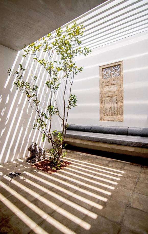 Khoảng giếng trời khiến không ai nghĩ đây là một căn hộ nằm ở tầng 1 của một khu tập thể.