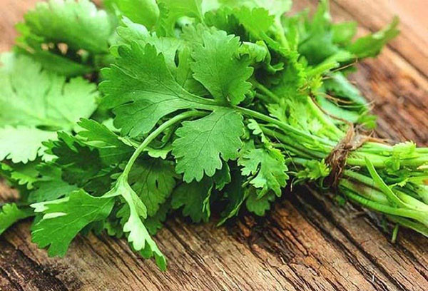 Cong dung tuyet voi cua rau thom co the ban chua biet