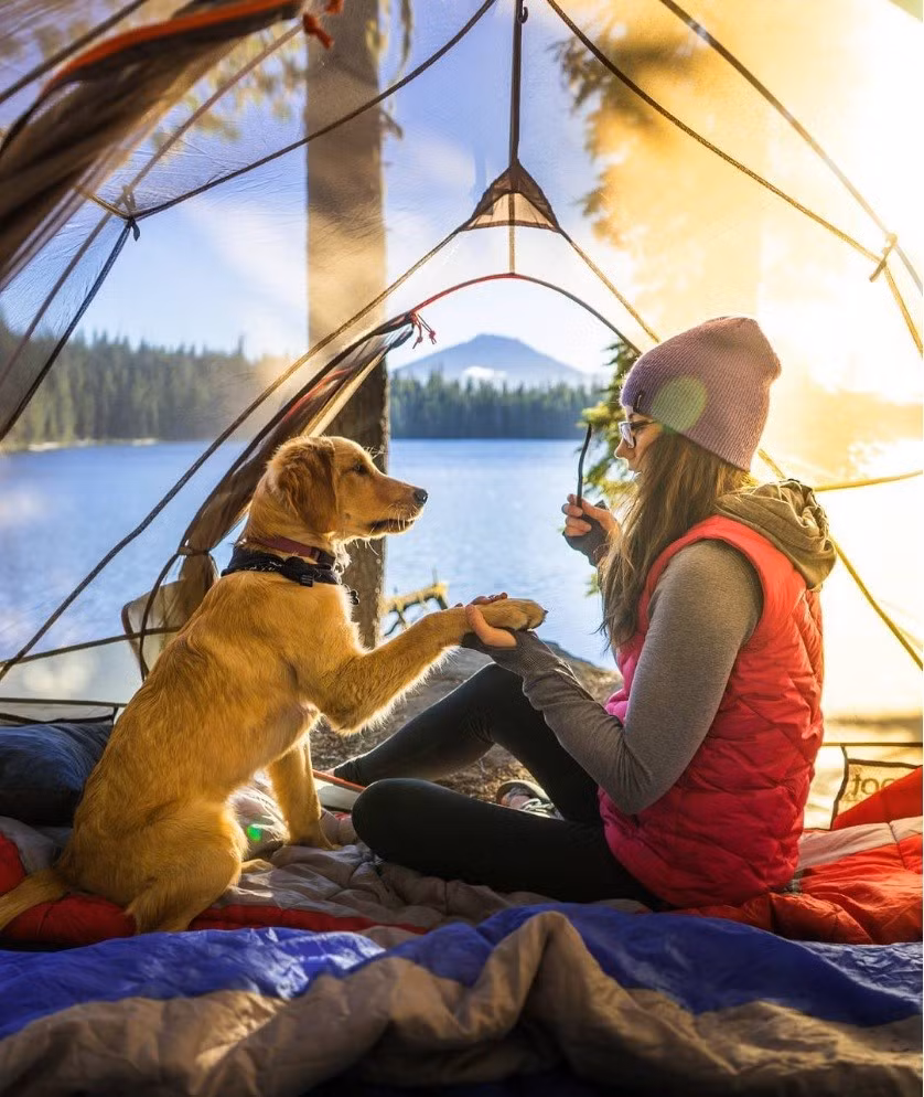 Ánh nắng chiếu qua tấm lều trong suốt, hòa cùng thiên nhiên, con người và động vật. Đây là một điểm cắm trại trong thành phố Bend, thuộc tiểu bang Oregon, Mỹ. Ảnh: Chuckdeezmt/Instagram.