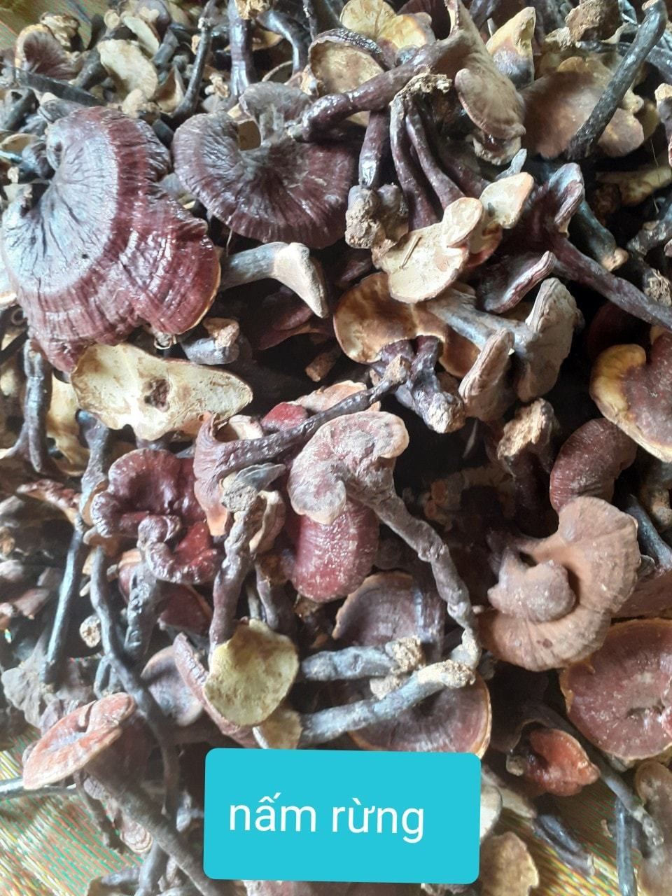 Nam lim xanh: cach tranh dinh qua lua-Hinh-3