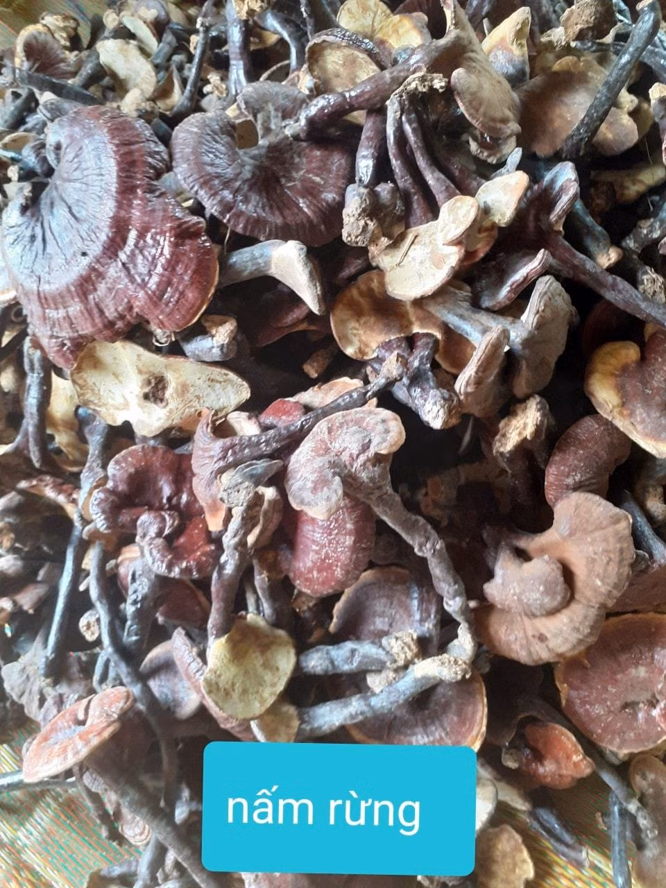 Nam lim xanh: cach tranh dinh qua lua-Hinh-3