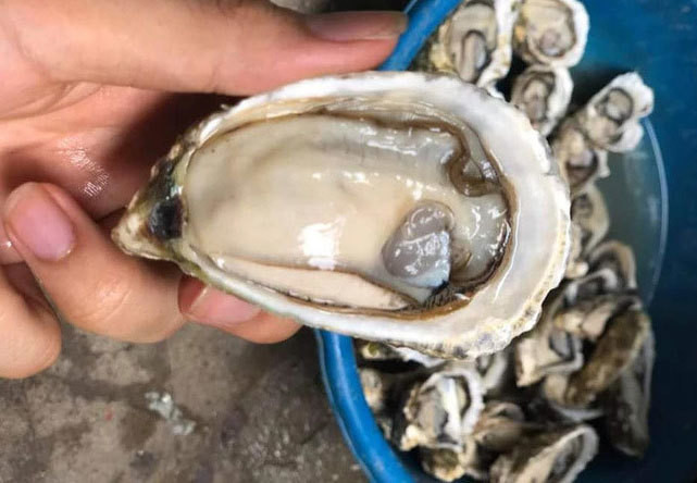 Hau sua re chua tung co, nhap ve 'phu phep' theo cach moi la