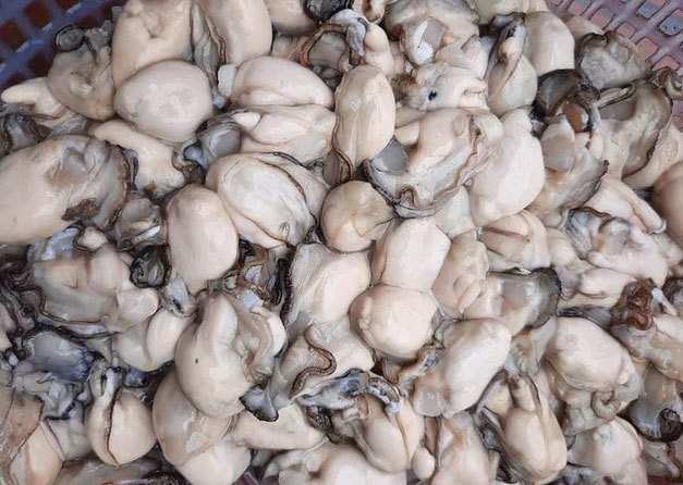 Hau sua re chua tung co, nhap ve 'phu phep' theo cach moi la-Hinh-2