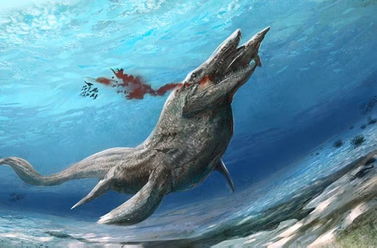  Tylosaurus là một loài thuộc họ Masasaur. Loài này rất lớn, đạt chiều dài tới 15m. Thức ăn của Tylosaurus khá đa dạng từ cá, cá mập, các loài mosasaur nhỏ… và thậm chí là các loài chim không biết bay. Chúng sống ở kỷ phấn trắng, ở khu vực Bắc Mỹ.