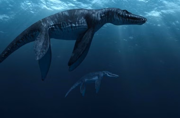  Liopleurodon là loài thằn lằn biển có chiều dài lên tới 6m. Chúng sống chủ yếu ở vùng biển châu Âu vào kỷ Juras. Bộ hàm của nó có thể dài tới 3m, với những chiếc răng vô cùng lớn.