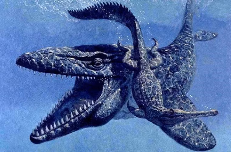  Mosasaurus là một loài quái thú khổng lồ. Các bằng chứng khảo cổ cho thấy Mosasaurus có thể dài tới 15m, biến nó thành một trong những loài ăn thịt lớn nhất dưới biển trong kỷ phấn trắng. Đầu của loài này trông khá giống đầu của cá sấu, với hàng trăm chiếc răng sắc nhọn, có thể tiêu diệt được cả những kẻ thù được bảo vệ kỹ lưỡng nhất.