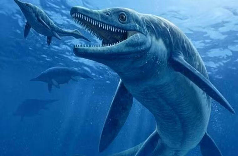  Thalattoarchon Saurophagis mới được phát hiện gần đây. Nó có kích thước bằng một chiếc xe buýt, dài khoảng 9m. Nó là một trong những loài thằn lằn cá thời đầu, sồng chủ yếu ở kỷ Trias, cách đây 244 triệu năm. Chúng sống một thời gian ngắn sau khi Trái đất chịu thảm họa Permian. Phát hiện ra loài này đã đem đến cho các nhà khoa học một cái nhìn mới vào sự hồi phục nhanh chóng của hệ sinh thái.