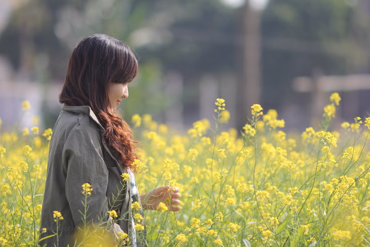 Màu vàng của hoa cải tạo nên khung cảnh đẹp, lạ và đầy vẻ thanh bình, mộng mơ.