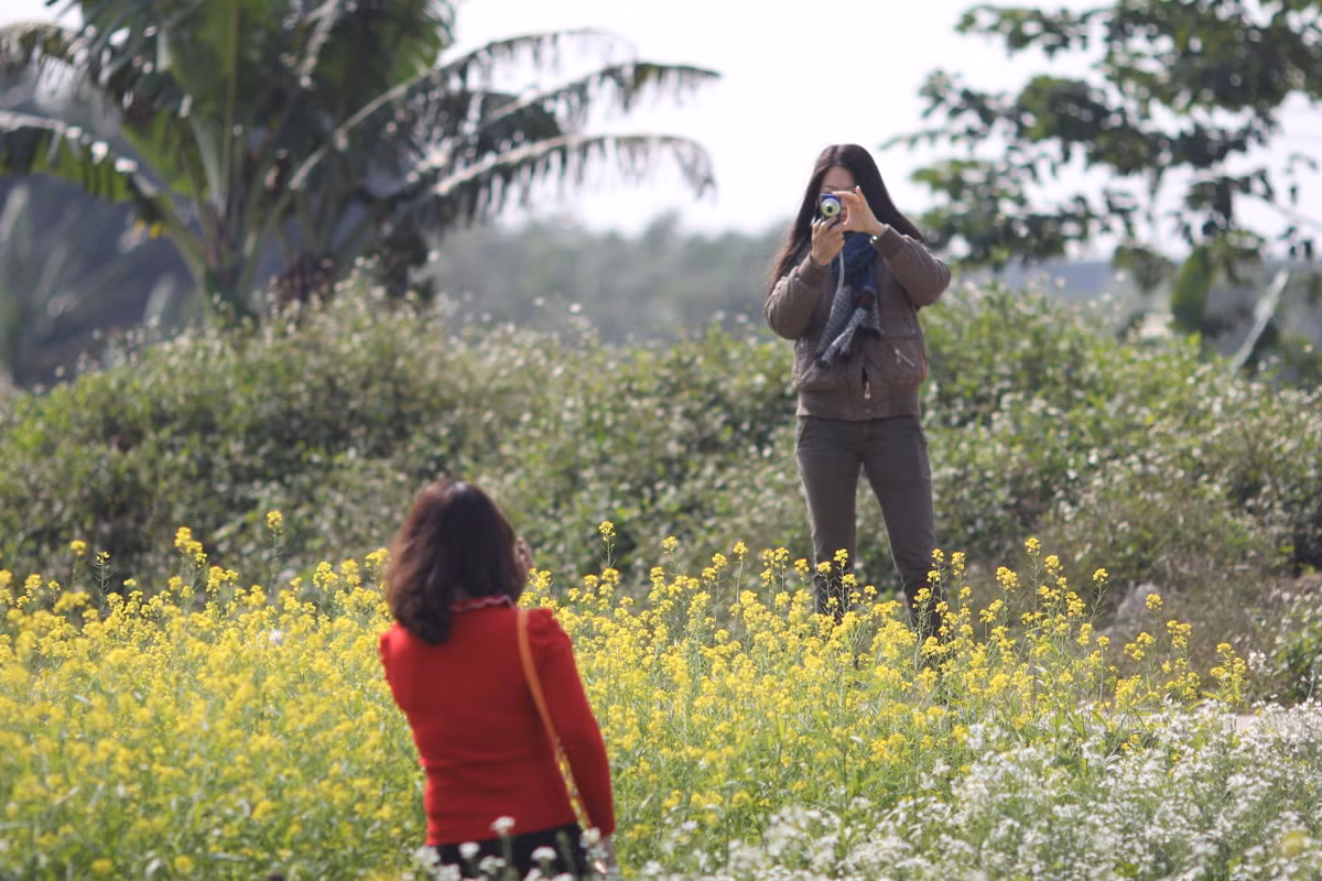 Dịp cuối tuần, nhiều bạn trẻ rủ nhau đến các khu vườn cải này để vui chơi, chụp ảnh.