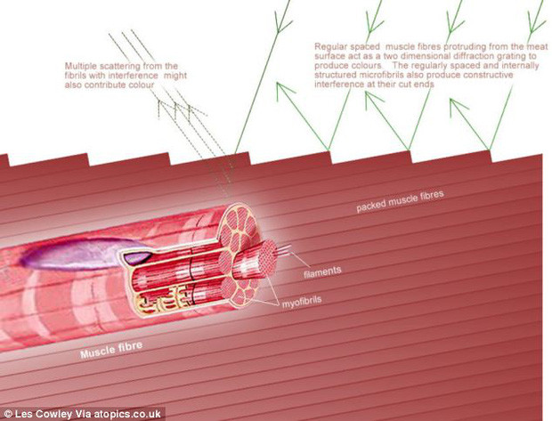 Mieng thit ngon va bo duong ma rat it nguoi biet den-Hinh-8