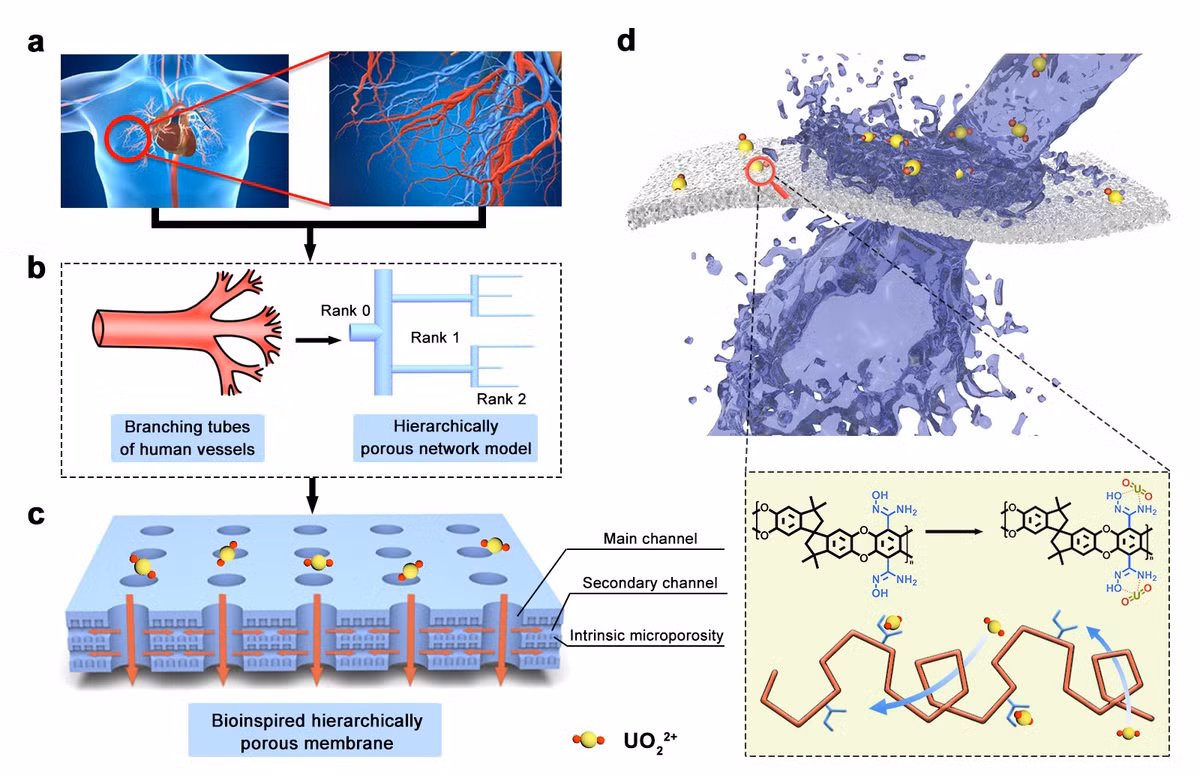 Kho báu khủng khiếp 4 tỷ tấn Trung Quốc chuẩn bị hút lên - Hình 2 Kho bau khung khiep 4 ty tan Trung Quoc chuan bi hut len-Hinh-2