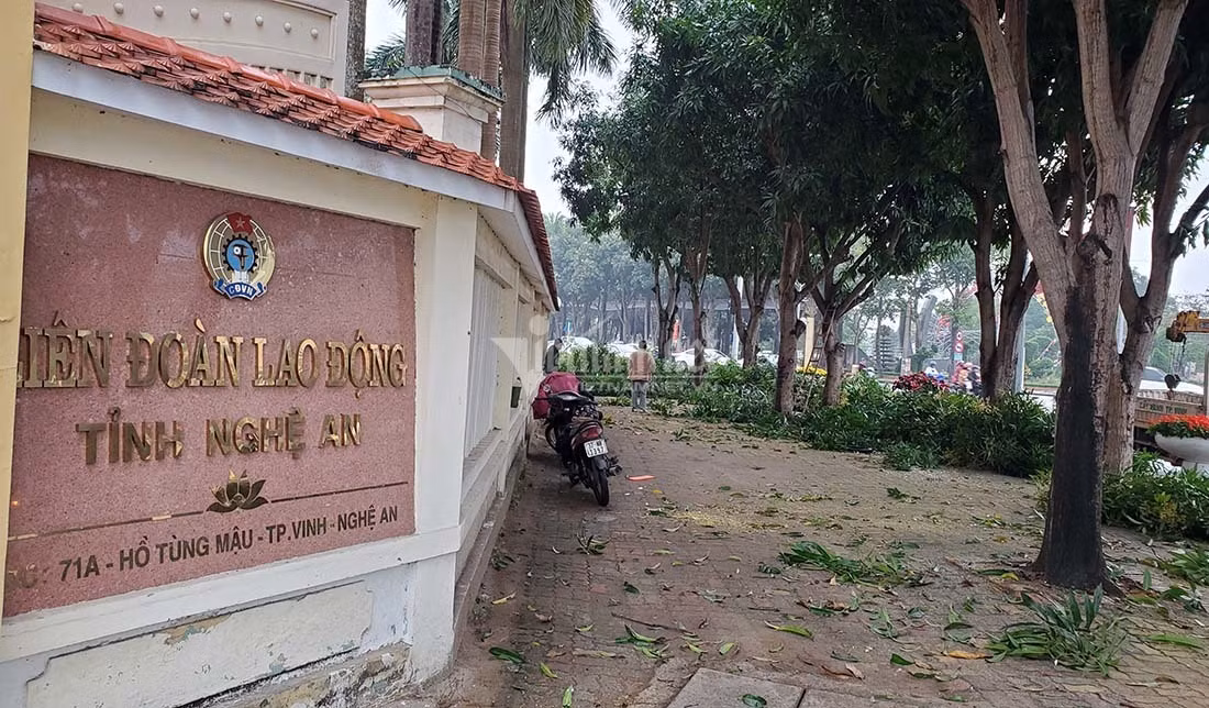 Hang loat cay xanh o “trai tim thanh Vinh” bi don ha lam pho di bo-Hinh-6