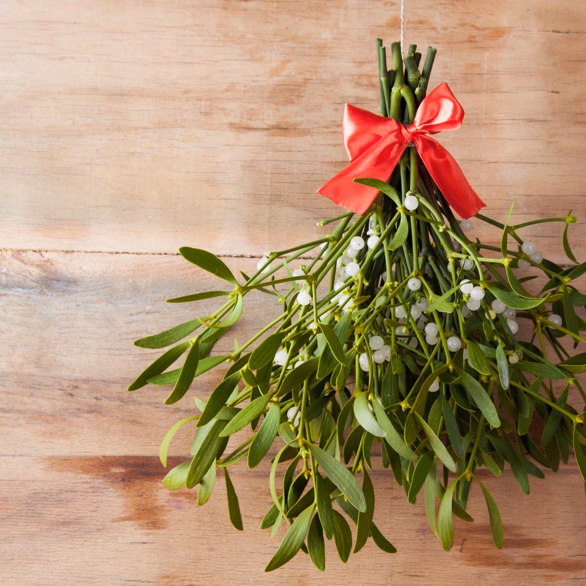 6 loai cay co ve ngoai ruc ro nhung chua doc to chet nguoi-Hinh-4