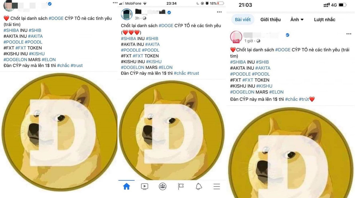 Một số hình thức lừa đảo khác cao tay hơn như thuê mướn nghệ sĩ, lồng ghép quảng cáo tiền ảo đa cấp giữa một rừng tiền ảo đang hot trend hiện nay.