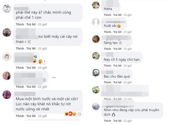 Ve que an Tet, nhieu nguoi sang tao cach de cay duoc cung cap du nuoc-Hinh-5