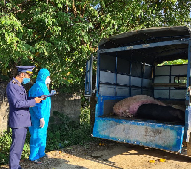 Tieu thuong van tranh thu len lut tieu thu hon 300kg giua dem khuya