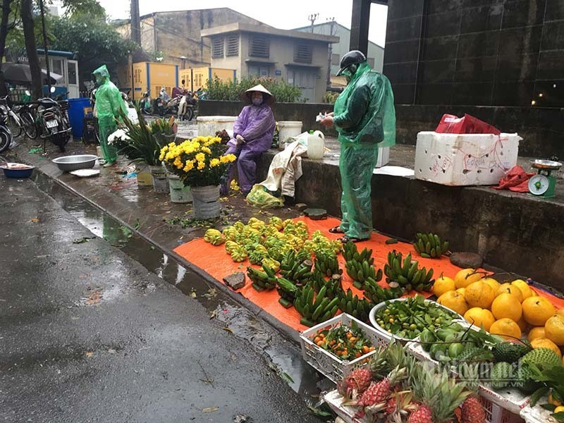 Cho 28 Tet: Chuoi xanh la liet, e buon ngay mua cuoi nam-Hinh-3