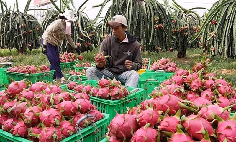 Mot hop vai thieu tuoi duoc tra 52 trieu dong tai Australia