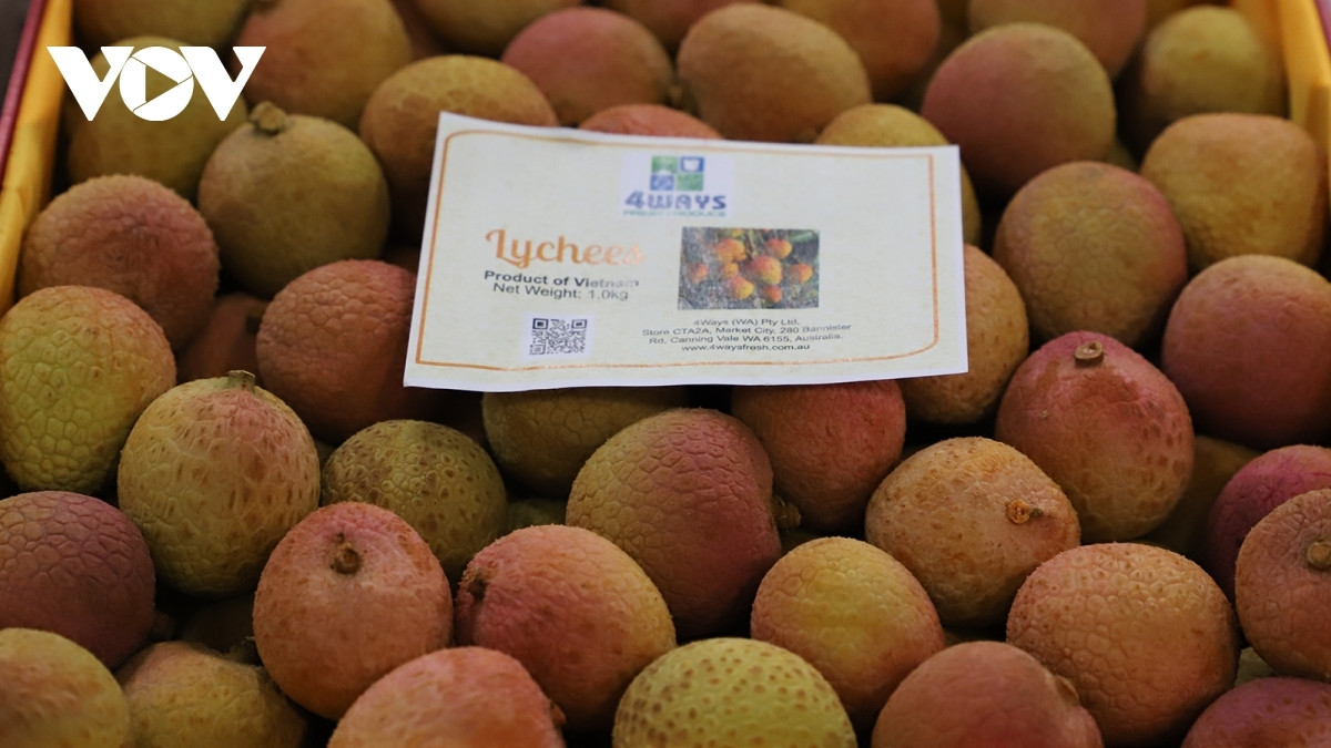 Mot hop vai thieu tuoi duoc tra 52 trieu dong tai Australia-Hinh-2